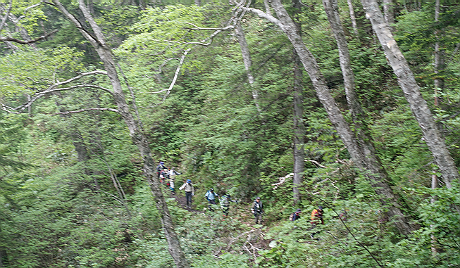 写真2 ひぐま大学2018 第2講座 原始が原 - 