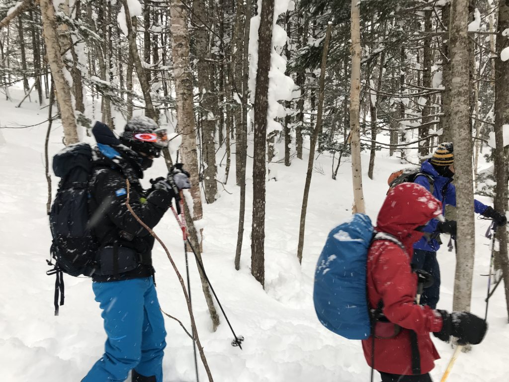 2019-02-17 ひぐま大学湯内山写真02 低標高でダケカンバ