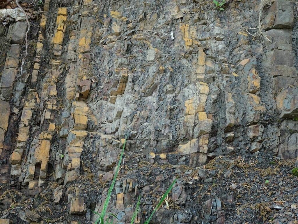 「川端層」の露頭