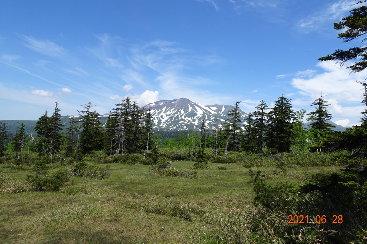 大雪山に広がる溶岩台地のこの高層湿原は旭岳がどーん！