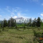 大雪山に広がる溶岩台地のこの高層湿原は旭岳がどーん！