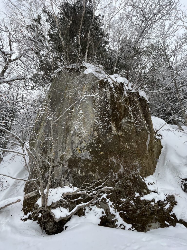 大雪山の火砕流でできた柱状節理の露頭の末端の一部