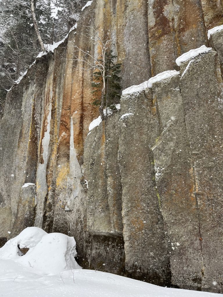 柱状節理の崩落した岩棚の上に積もる雪と生きている木と